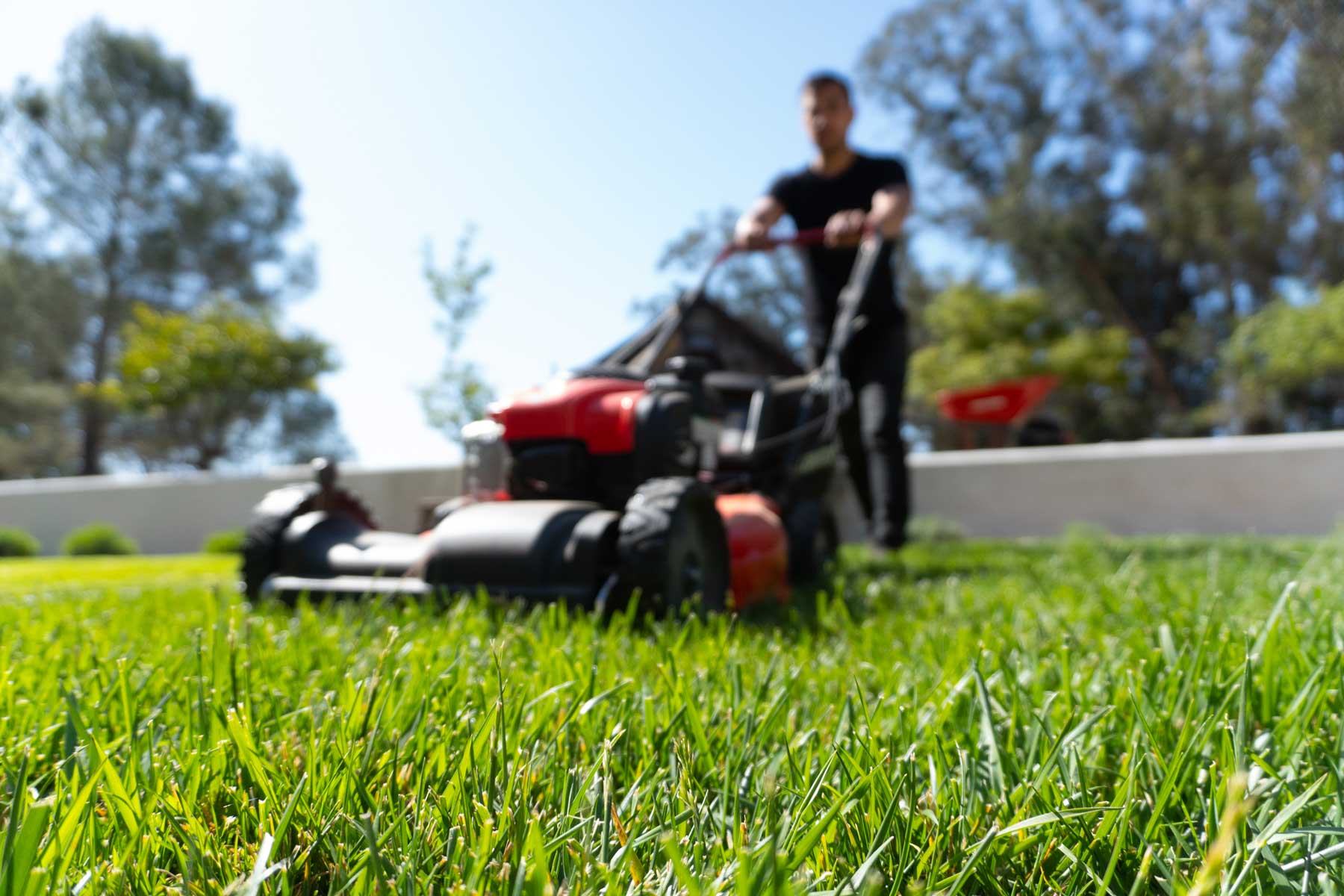 lawn-mowing-adelaide