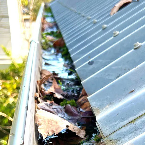 gutter-cleaning-before