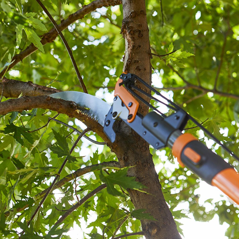 tree-pruning-service